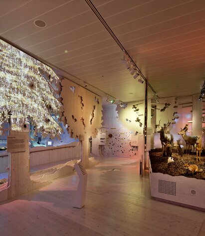 Una stanza con una foresta stilizzata fatta di pannelli di legno, animali selvatici tassidermizzati | © LignoAlp