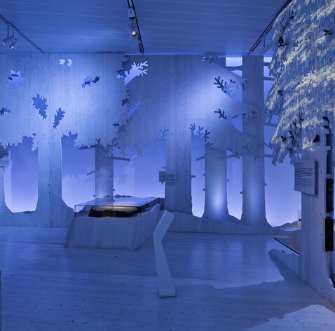 Panorama paesaggistico in legno lamellare | © LignoAlp