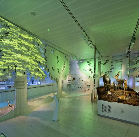 Panorama paesaggistico in legno lamellare | © LignoAlp