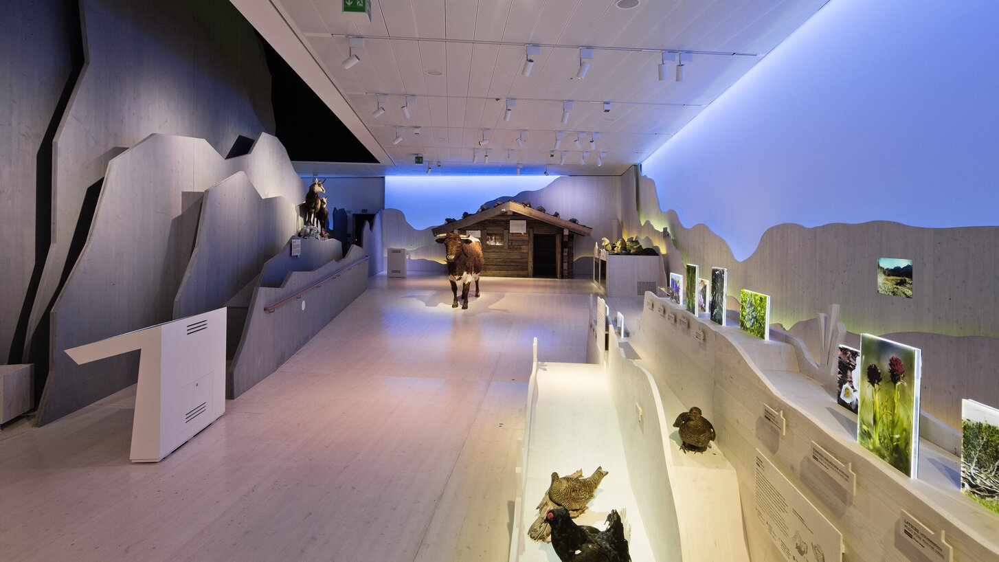 Panorama paesaggistico in legno lamellare | © LignoAlp