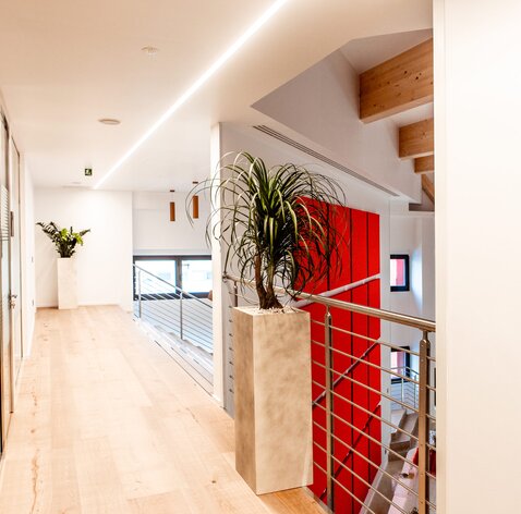 Recuperation of an industrial hall with wood | © Gruppo Triveneta