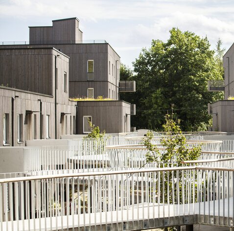 Eine große Wohnanlage mit drei- und vierstöckigen Gebäuden mit Fassaden aus vorvergrauten Holzleisten und einem geschwungenen Laubengang als Zugang | © Regina Sedlmayer