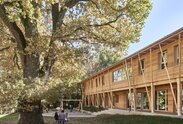 A garden with a large tree and a two-storey building with larch cladding on the façade | © Kurt Hörbst