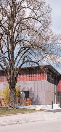 Fassade einer Schule in Holzbauweise mit vorvergrauter Fassadenschalung und roter Fassadenbahn | © Florian Holzherr