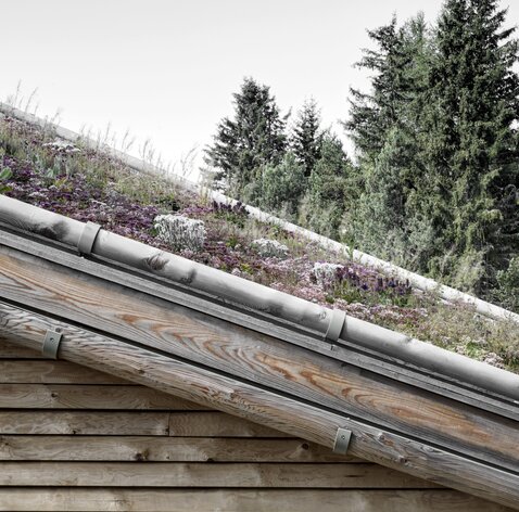 Chalet in legno in Provincia di Bolzano | © Gustav Willeit