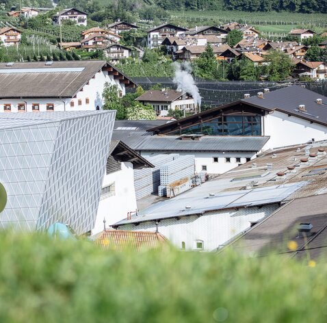 Replacement of the roof a production plant in South Tyrol | © Benjamin Pfitscher