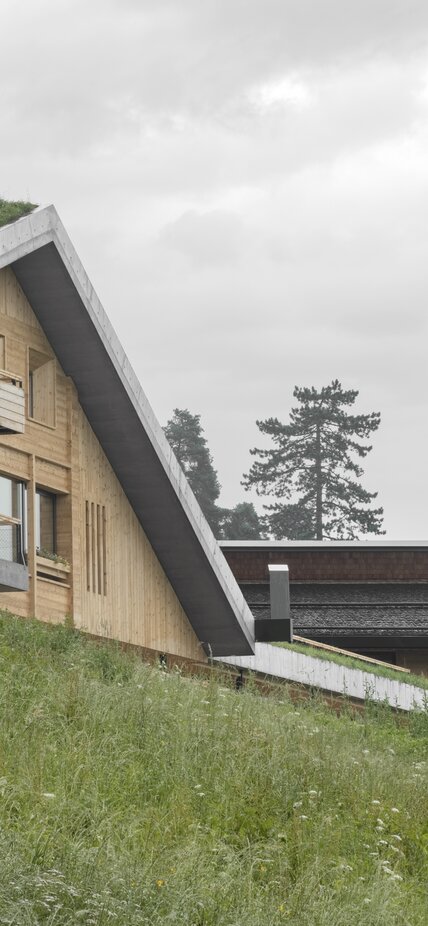 In un prato verde sorge una nuova casa con pareti in legno naturale e tetto verde | © Gustav Willeit