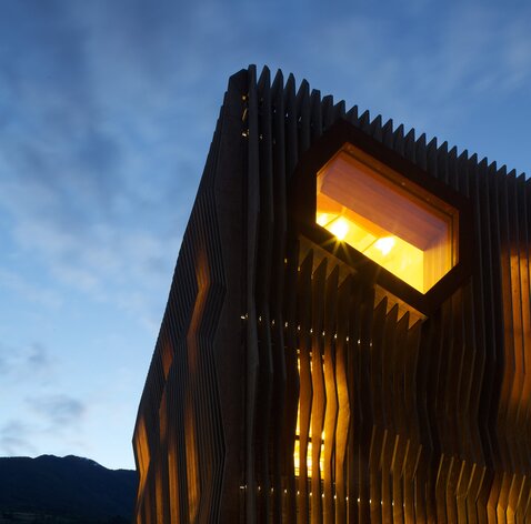 © Günther Richard Wett